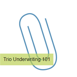 Trio Underwriting 101 Image